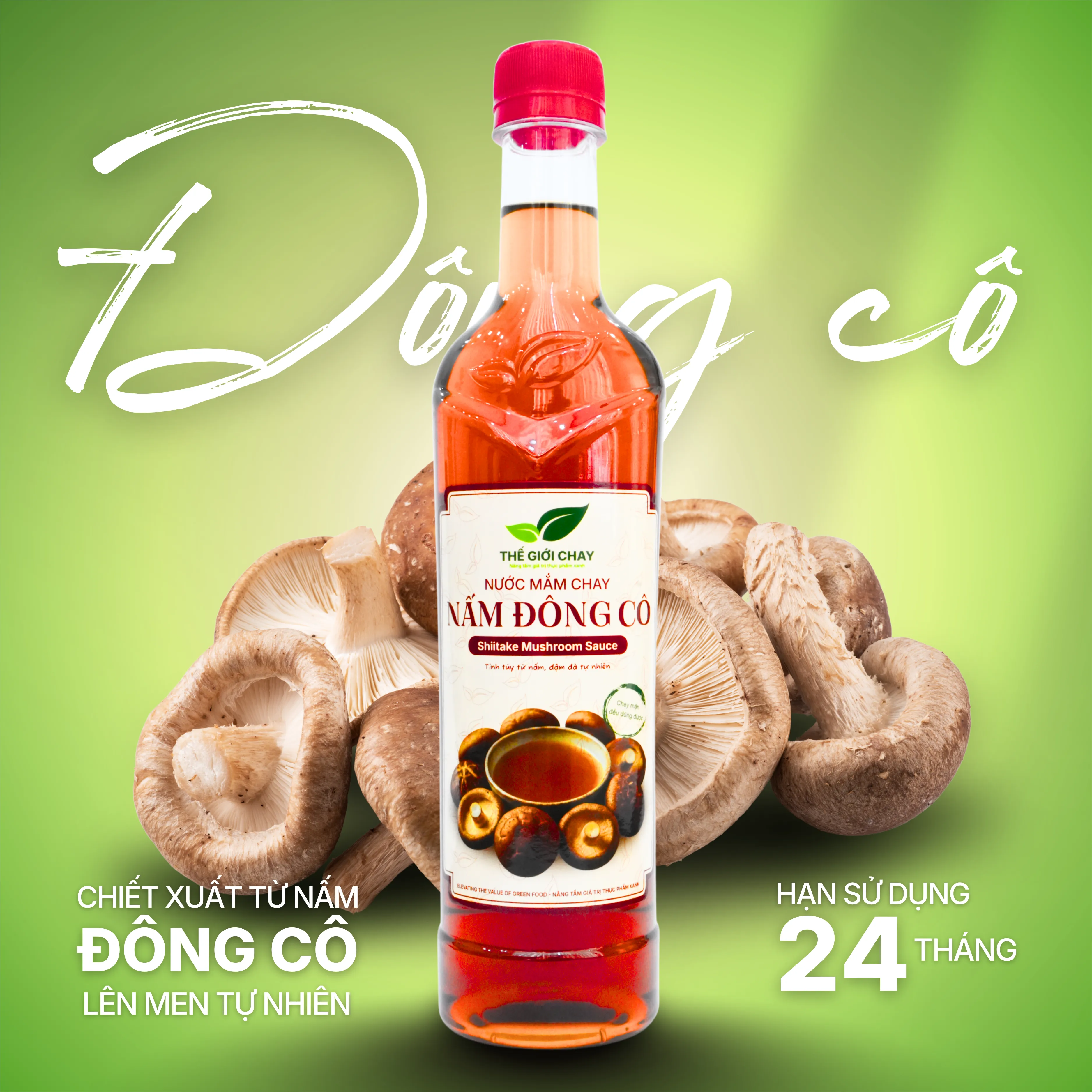 Catalog sản phẩm Thế Giới Chay trên VICATRA